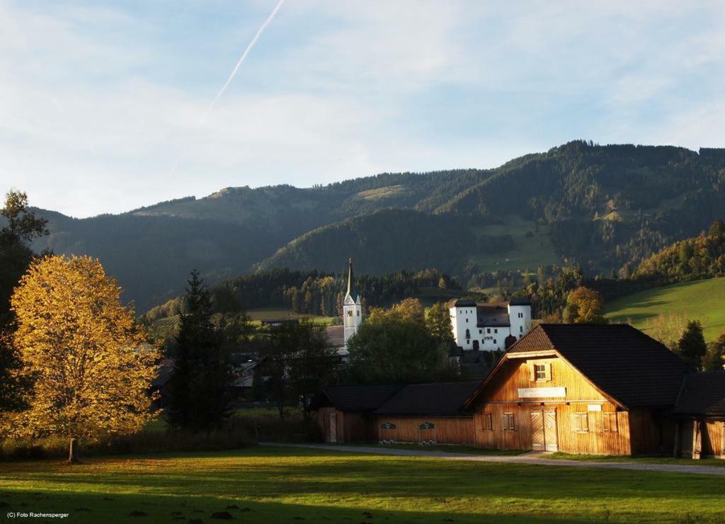 Biobergbauernhof Bergzeit Apartment In Goldegg Exterior foto